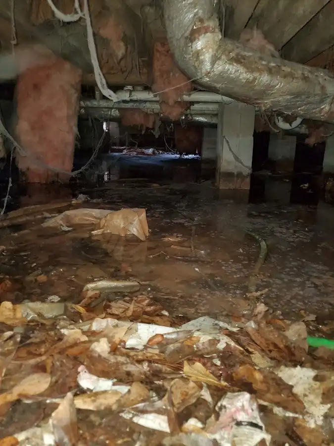 Crawl space flood assessment for Leak Detection & Repair in Steelton