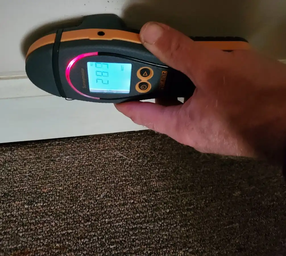 Moisture detection at baseboard during Sewage Cleanup & Sanitation in Steelton
